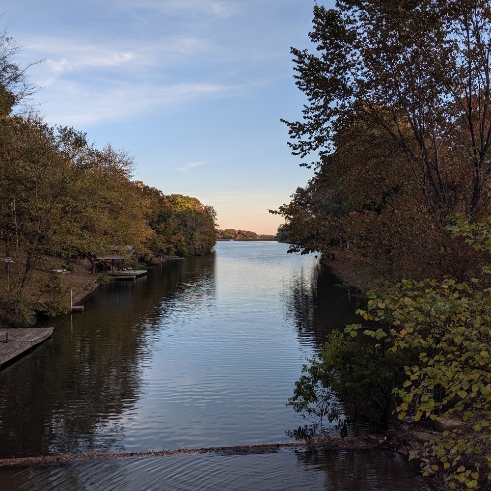 Meet your Posher, Lily